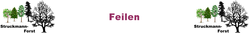 Feilen