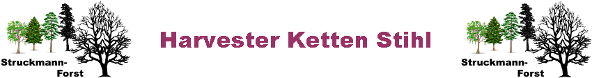 Harvester Ketten Stihl