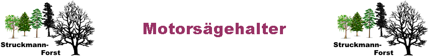 Motors�gehalter