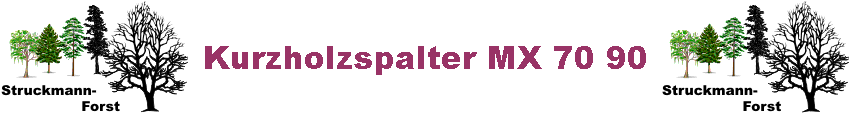 Kurzholzspalter MX 70 90