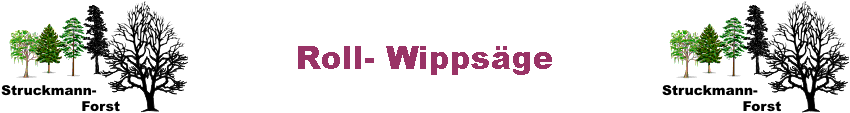 Roll- Wipps�ge